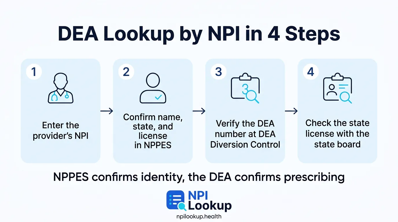 DEA lookup by NPI in four steps: enter the NPI, confirm the identity and license in NPPES, verify the DEA number at DEA Diversion Control, and check the state license with the state board.