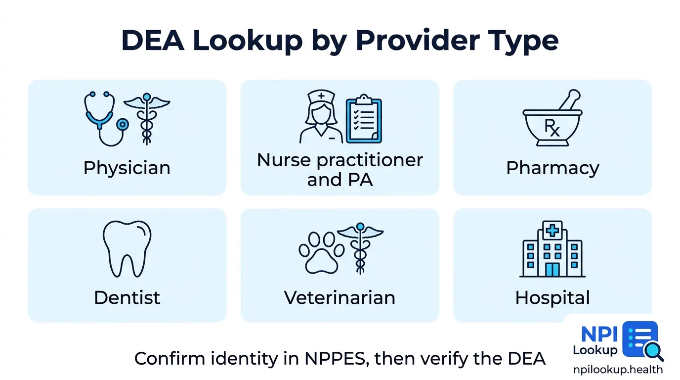 DEA lookup by provider type: physicians, nurse practitioners and PAs, pharmacies, dentists, veterinarians, and hospitals each register with the DEA differently, verified after confirming identity in NPPES.