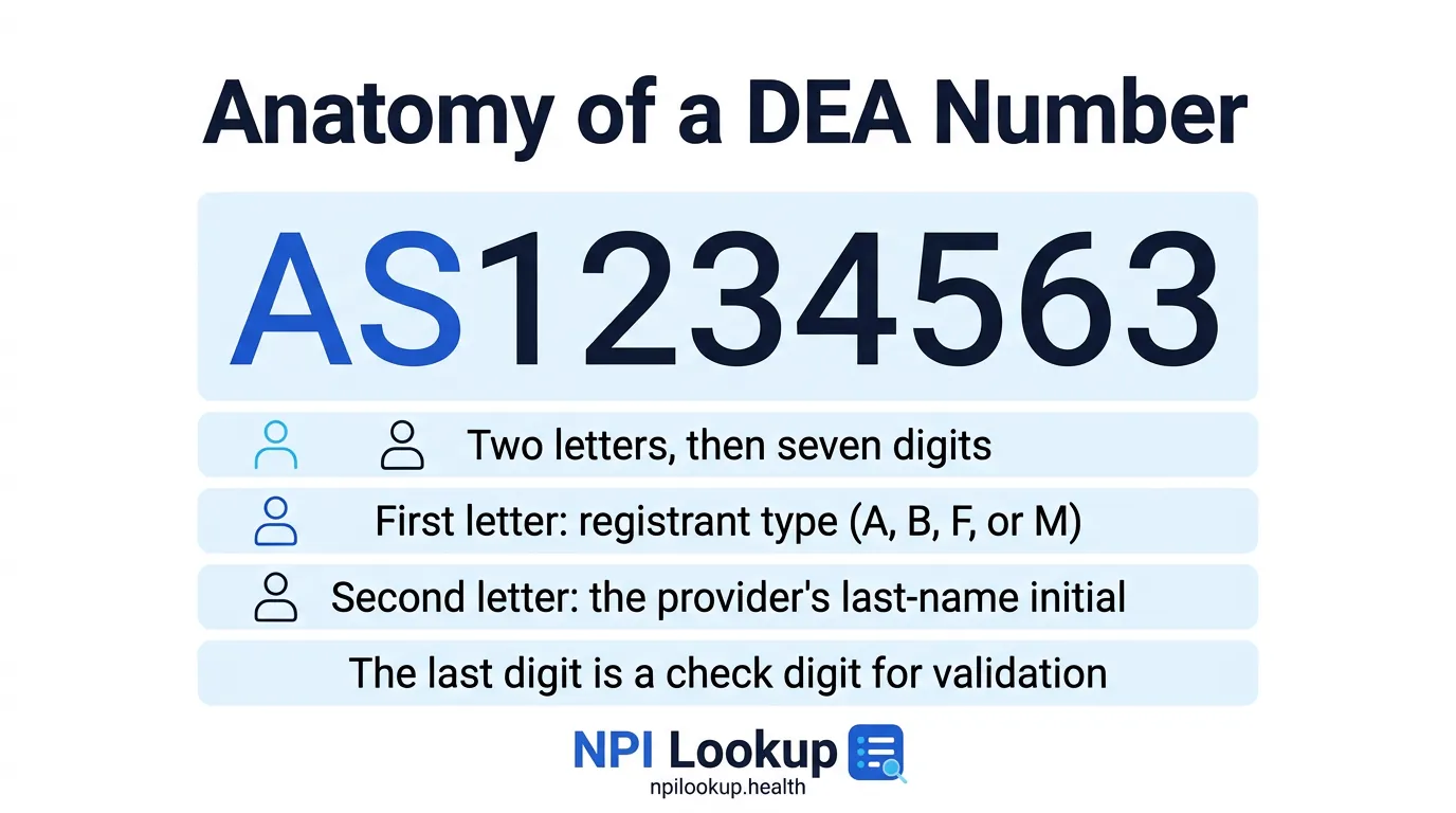 DEA number format explained: the example AS1234563 shows two letters followed by seven digits, where the first letter is the registrant type, the second is the last-name initial, and the last digit is a check digit.
